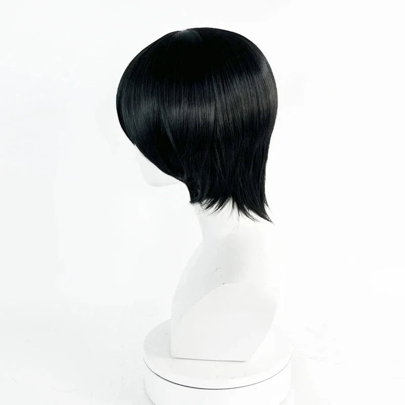 Anime Mikasa Ackerman Cosplay Wig - Black Heat-Resistant Synthetic Fiber Party and Halloween Costume Accessory
